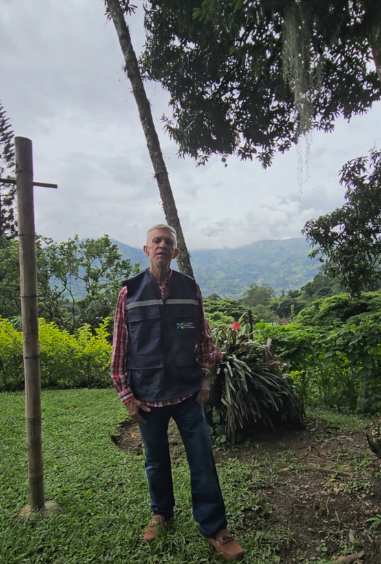 Encabezado Servicios